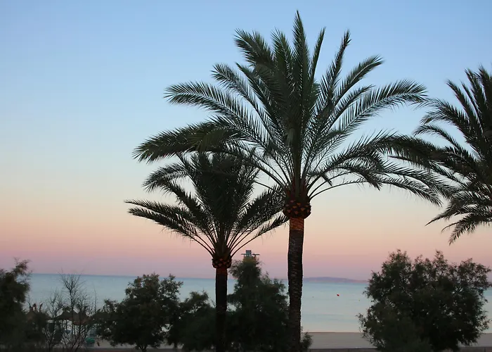 Hotell Iberostar Waves Bahia De Palma - Adults Only Playa de Palma (Mallorca)